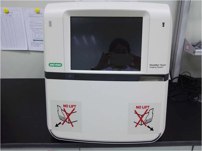 全自动蛋白印迹仪 型号 autoblot system 20  v3蛋白印迹检测分析